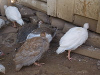 DSCN1718.JPG