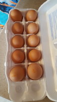 20180716_105447.jpg