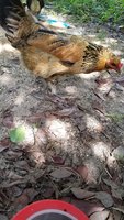 20180718_105238.jpg