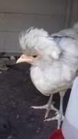 20180720_104821.jpg 20180720_104821.jpg