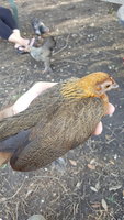 20180719_181202.jpg