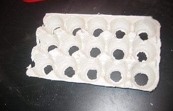 egg carton with holes 100_0015-16.jpg egg carton with holes 100_0015-16.jpg