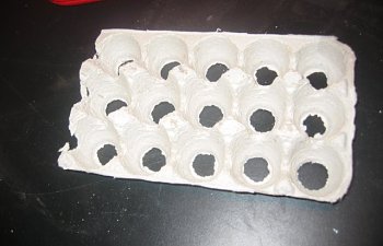 egg carton with holes 100_0015-16.jpg