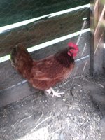 20180720_102026.jpg