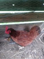20180720_101841.jpg