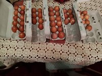 20180720_090127.jpg