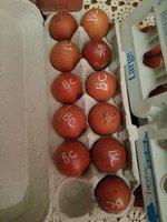 20180720_085934.jpg