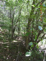 DSCN1090.JPG