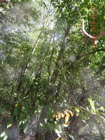 DSCN1091.JPG