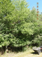 DSCN1095.JPG