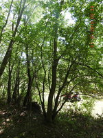 DSCN1092.JPG
