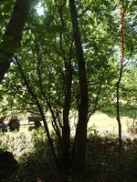 DSCN1093.JPG