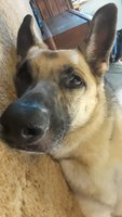 IMG_20180711_132620_879.jpg