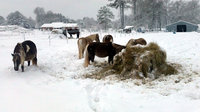 10Dec26sno355.jpg
