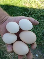 20180721_100457.jpg