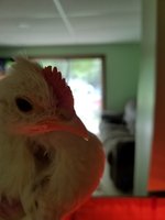 20180721_151140.jpg