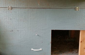 chicken coop 2018 008.jpg chicken coop 2018 008.jpg