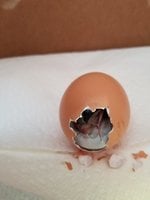 20180721_175257.jpg