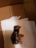 20180721_221334.jpg