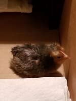 20180721_231905.jpg