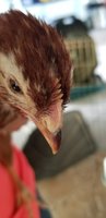 20180722_122634.jpg