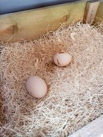 20180707_093918.jpg