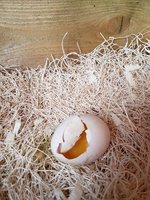 20180707_093946.jpg