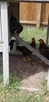 20180723_153258.jpg