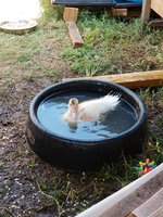 20180723_163426.jpg