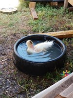 20180723_163429.jpg