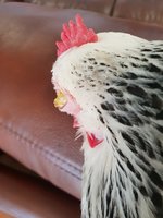 20180724_110738.jpg