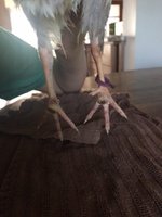 image.jpeg