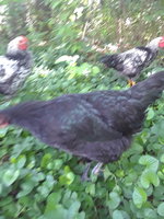 20180724_122103.jpg
