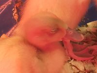 89543ABC-37D7-4A6D-8E30-25CFAA3E335F.jpeg