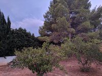 IMG_20180701_214012.jpg