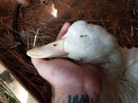 20180724_190029.jpg