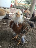 9655C2C8-E97C-40D4-A87E-1F7D8D03EDA1.jpeg