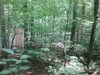 20180725_132527.jpg