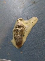 IMG_20180724_150713353.jpg