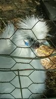 IMG_20180725_165250.jpg