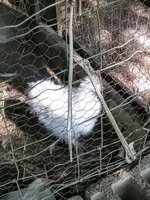 IMG_20180725_165348.jpg
