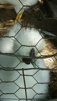 IMG_20180725_165247.jpg