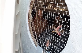 20180725_161310.jpg 20180725_161310.jpg
