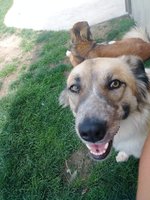 20180725_141403.jpg