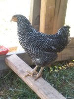 20180725_085143.jpg