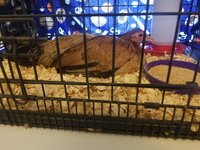 20180726_111556.jpg