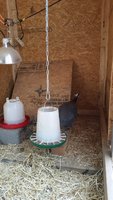 20180413_BlondiesNestArea.jpg
