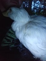 20180726_205601.jpg