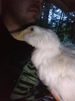 20180726_205436.jpg