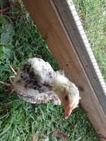 20180726_132037.jpg